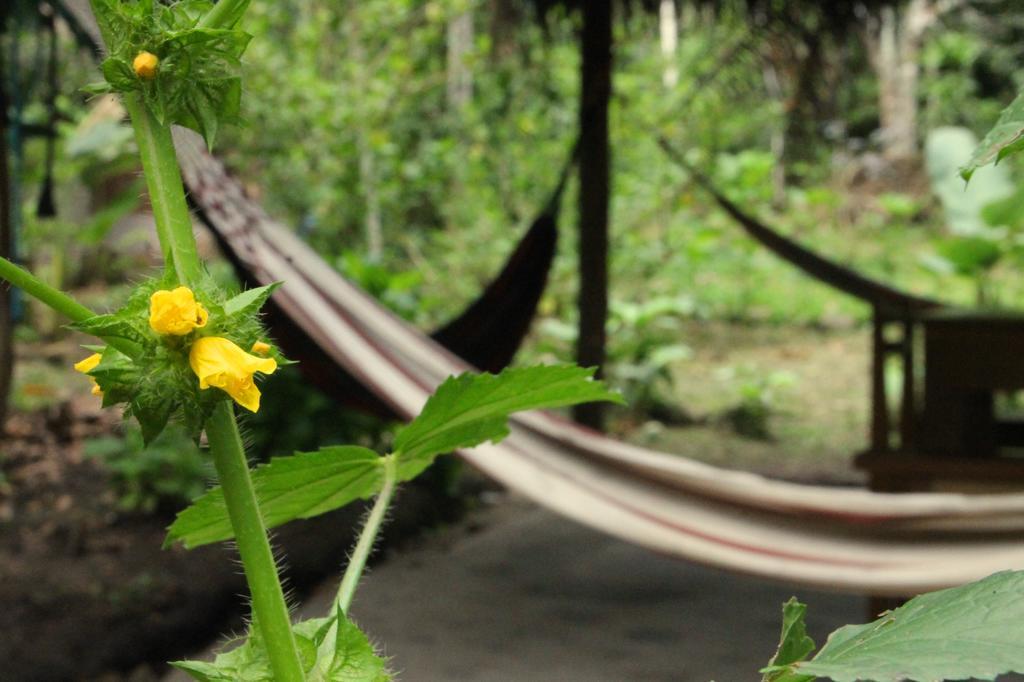 Shimiyacu Amazon Lodge Тарапото Екстер'єр фото