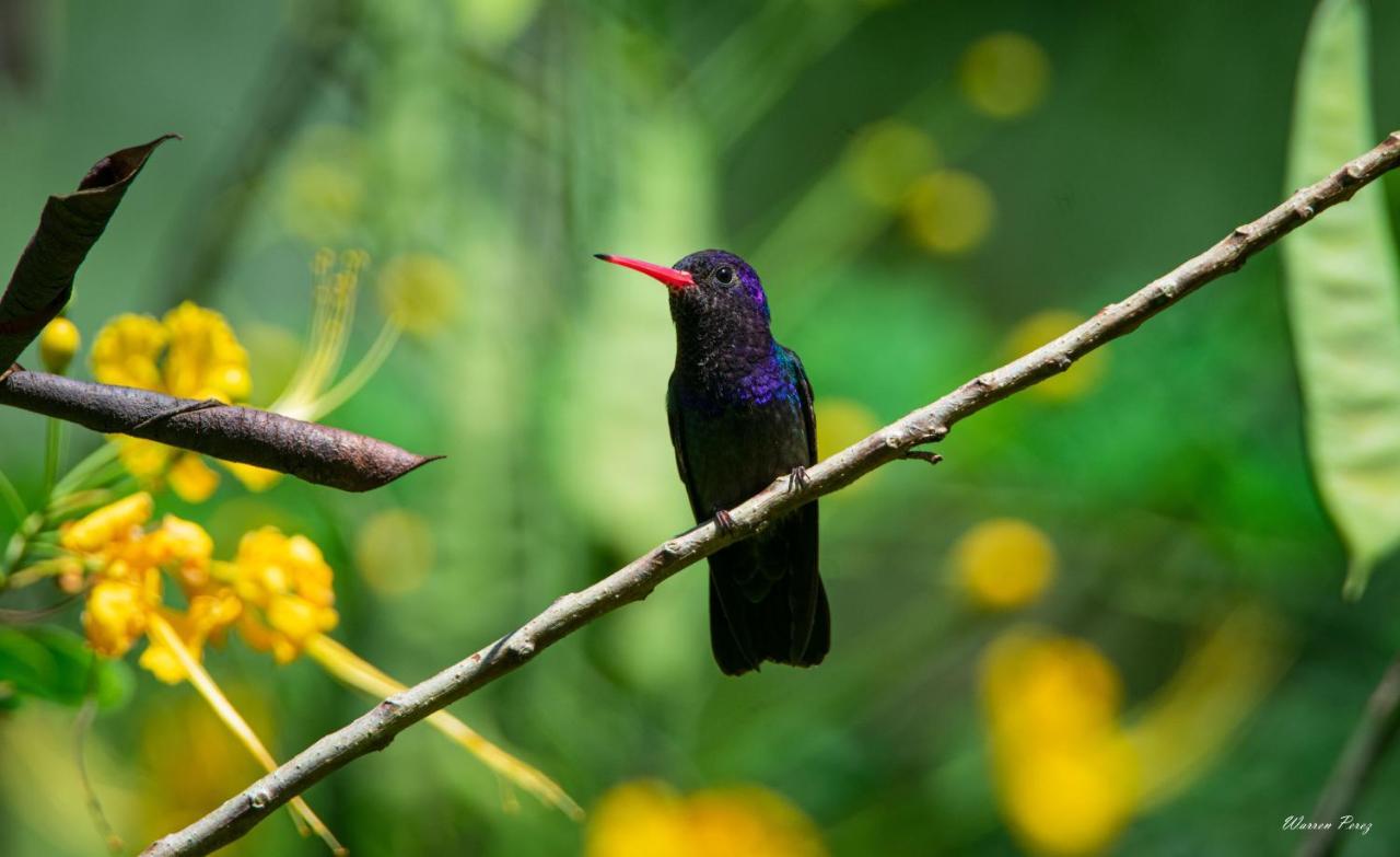 Shimiyacu Amazon Lodge Тарапото Екстер'єр фото